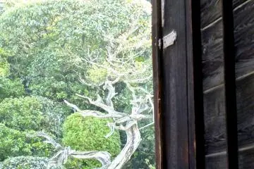 <p>Tsure-Kame Garden sits between those&nbsp;trees and this&nbsp;temple building</p>