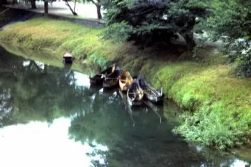 <p>Traditional fishing boats</p>