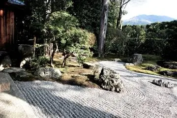 <p>One of the temple's two unique gardens</p>