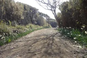 A beautiful trail.