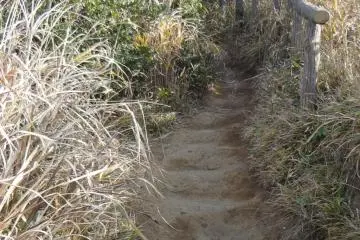 More of the beautiful hike.