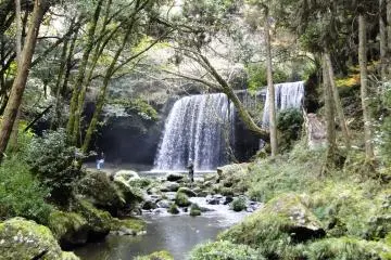 <p>When the sun streams down through the trees, it's quite stunning</p>