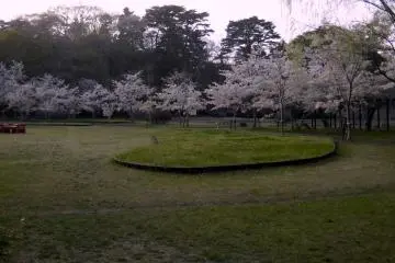 <p>A small park on the Northeast side of the island with cherry blossoms and special grasses.</p>