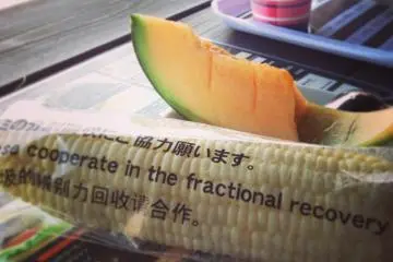 <p>แวะชิมแคนตาลูปและข้าวโพดอร่อยๆ ก่อนเข้าฟาร์ม</p>