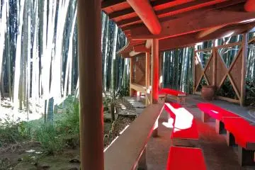 <p>Vue sur la bambouseraie depuis l'int&eacute;rieur de la maison de th&eacute;</p>
