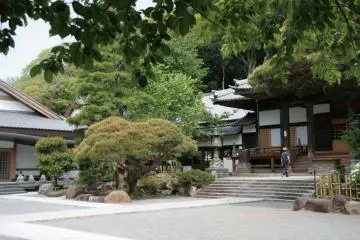 <p>슈젠지절</p>
