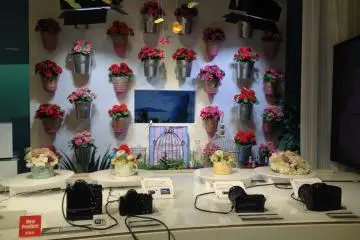 <p>You can test&nbsp;your photography skills with the camera models and the flower set-up; good for trying out the macro photography capabilities of the devices.</p>