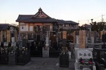 <p>One of the temples seen from over its wall</p>