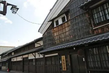 Architecture preserved back in time
