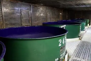 Sake Tanks (Photo: <a href="https://www.flickr.com/photos/rowmuse/4383654472/in/photostream/" target="_blank" rel="noreferrer noopener nofollow">Roger Walch</a> / <a href="https://creativecommons.org/licenses/by-nc-nd/2.0/" target="_blank" rel="noreferrer noopener nofollow">CC BY-NC-ND 2.0</a>)