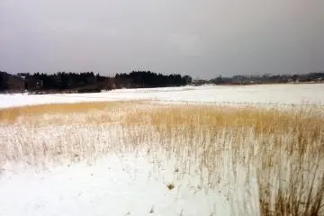 Grassy plains and&nbsp;fields are all but fully covered with snow along the train line during winter.