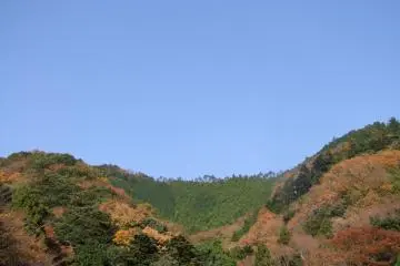여러 가지 색상으로 가로로 퍼짐