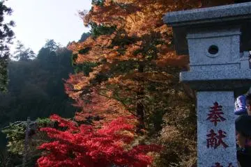 사당 입구 근처 색들