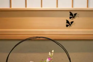 Beautiful interior of my room (Photo: <a href="https://en.japantravel.com/profile/ben-beechey/434" target="_blank" rel="noreferrer noopener nofollow">Ben Beech</a> / JT)