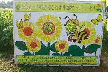 pic opp with your face in the centre of sunflower