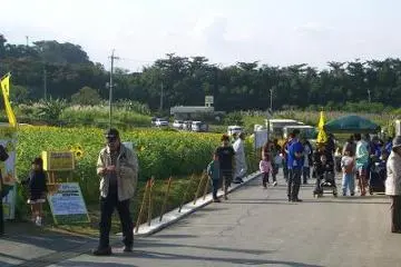 locals and tourist enjoy the peaceful scenery