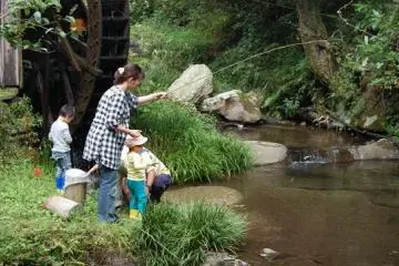Meski tidak ada festival, Anda tetap bisa berkunjung untuk menikmati pemandangan dan momen-momen bersama keluarga atau teman