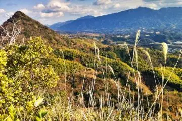 The view of Eryo-san and Takanawa-san