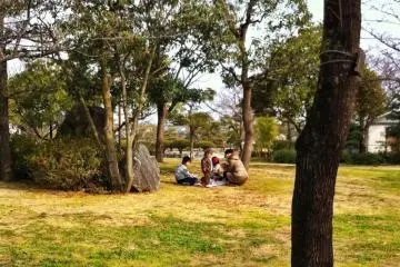 A winter picnic