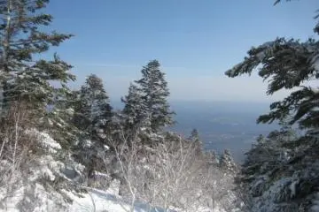<p>View from one of the chair lifts.</p>