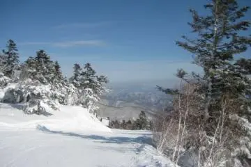 <p>View form the top run.</p>