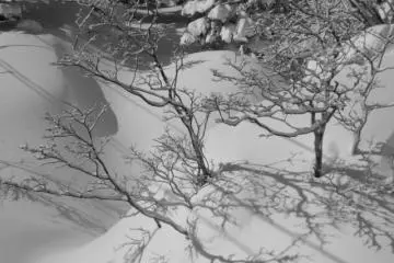 <p>Cool shadows I saw from the ski lift.</p>