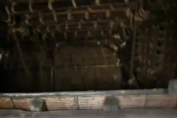 bamboo ceiling of farmhouse