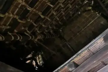 bamboo ceiling of thatched room