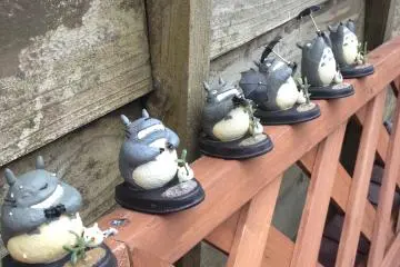 <p>ร้านขายของ Ghibli Studio</p>