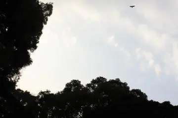 <p>เก็บบรรยากาศยามเย็น</p>