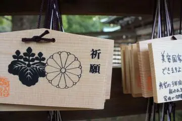 <p>สวยงามด้วยสัญลักษณ์ดอกเบณจมาศ</p>