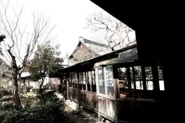 <p>ทิวทัศน์ด้านนอกของทางเดินไม้</p>
