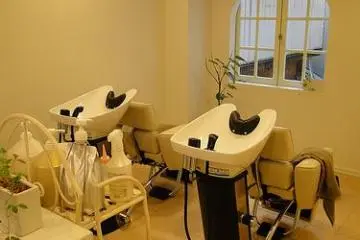 Shampoo area
