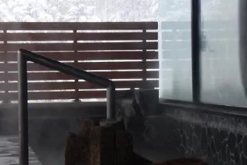 Outdoor pool overlooking the Taiga Forest
