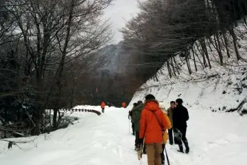 This path is so wide because it is actually a road when not covered in snow.&nbsp;