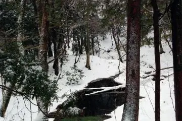 This small pond of water has almost been swallowed by the winter.&nbsp;