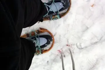 Walking in snow shoes can feel a bit awkward at first, but soon they will become your best friends.&nbsp;
