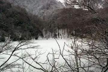 A frozen lake seen through the trees.&nbsp;
