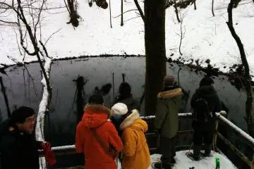 There really is something in the water. Due to the composition of water in Ao Ike, the pond almost never freezes, even in the dead of winter.&nbsp;