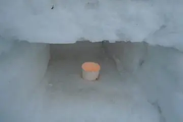 <p>Our little candles leading the way. They are so brave against the winter cold.&nbsp;</p>