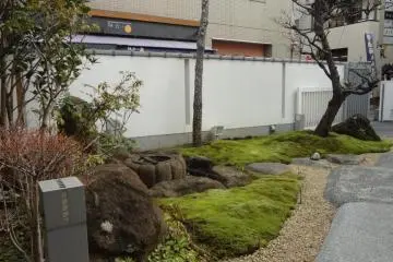 The beautiful garden.
