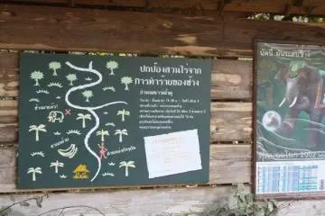 <p>ป้ายให้ความรู้เรื่องราวเกี่ยวกับช้างไทยที่เป็นภาษาไทยซึ่งเราเห็นแล้วก็อดที่จะยิ้มตามไม่ได้</p>