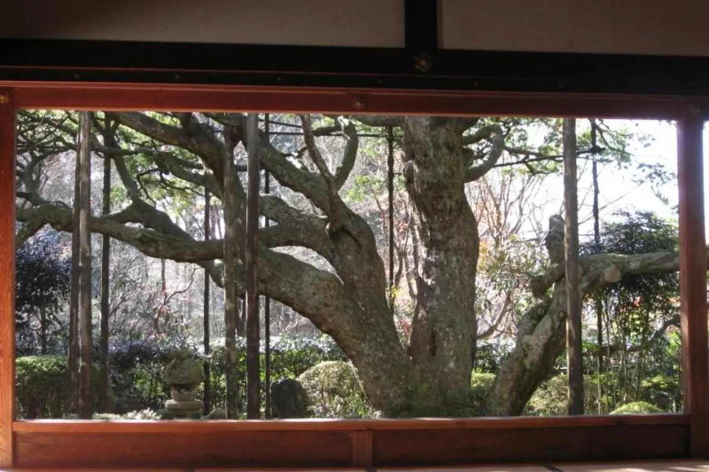 Hosen-in Temple in Kyoto