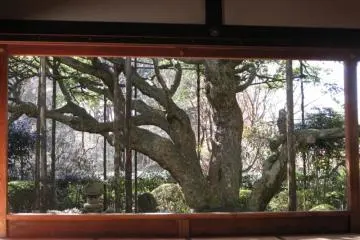 Hosen-in Temple in Kyoto