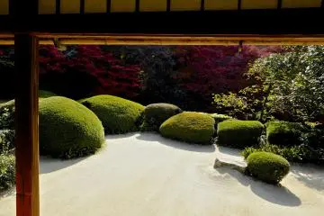 <p>It is a beautiful, simple garden</p>