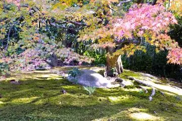 <p>A lovely little hill</p>