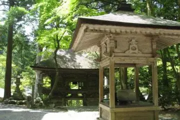 Around the grounds.