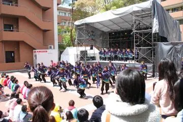 <p>การแสดง Yosakoi</p>