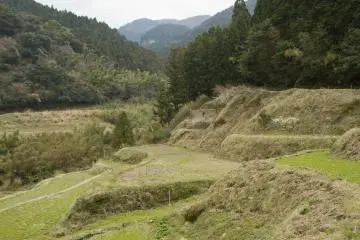 Beberapa bulan lagi, sawah-sawah ini akan terisi penuh dan ditanami dengah bibit-bibit