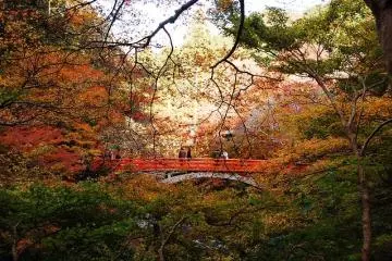Watching the seasons change (Photo: <a href="https://www.flickr.com/photos/marufish/2637163382" target="_blank" rel="noreferrer noopener nofollow">Marufish (CC BY-SA 2.0)</a>)